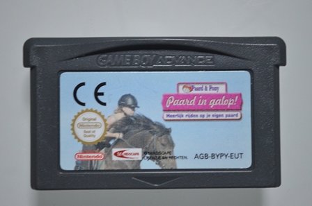 Paard &amp; Pony Paard in galop!