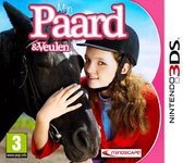 Mijn Paard En Veulen