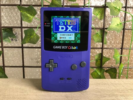 Gameboy Color IPS Purple Edition