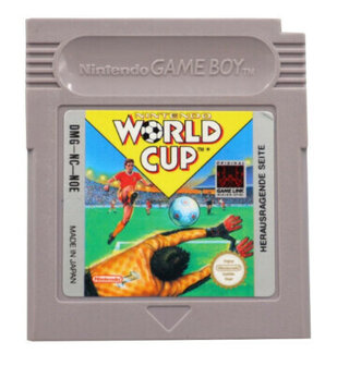 Nintendo World Cup