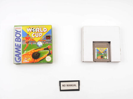 Nintendo World Cup