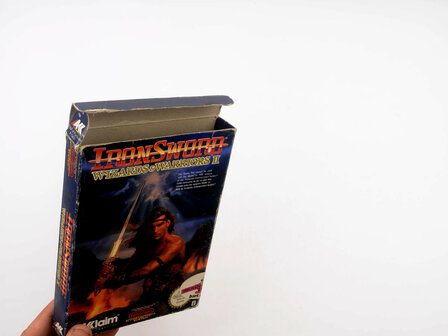 Iron Sword Wizards and Warriors II