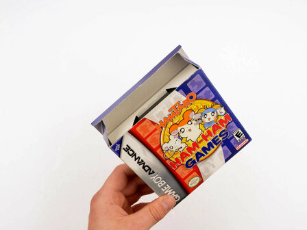 HamTaro Ham-Ham Games