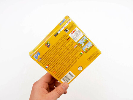 Super Mario Advance 4
