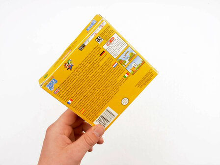 Super Mario Advance 4