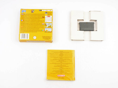 Super Mario Advance 4