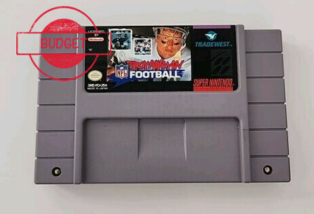 Troy Aikman NFL Football (NTSC) - Budget