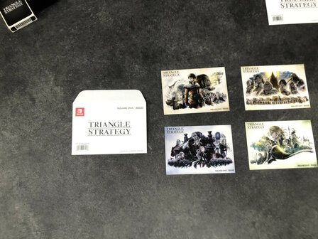 Triangle Strategy Tactician&#039;s Limited Edition