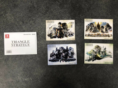 Triangle Strategy Tactician&#039;s Limited Edition