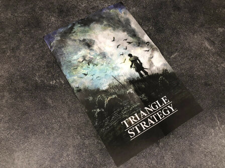 Triangle Strategy Tactician&#039;s Limited Edition