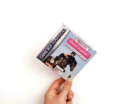 Paard &amp; Pony Paard in galop!