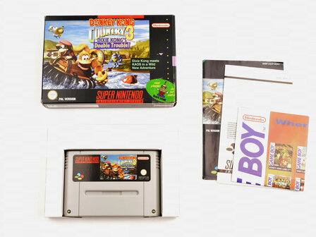 Donkey Kong Country 3