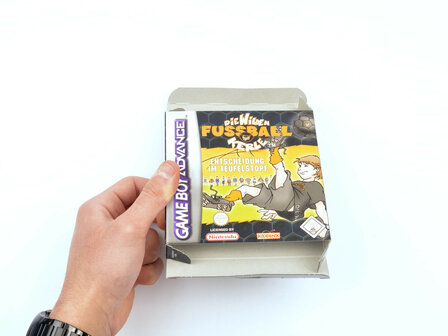 Die wilden Fussball Kerle (German)