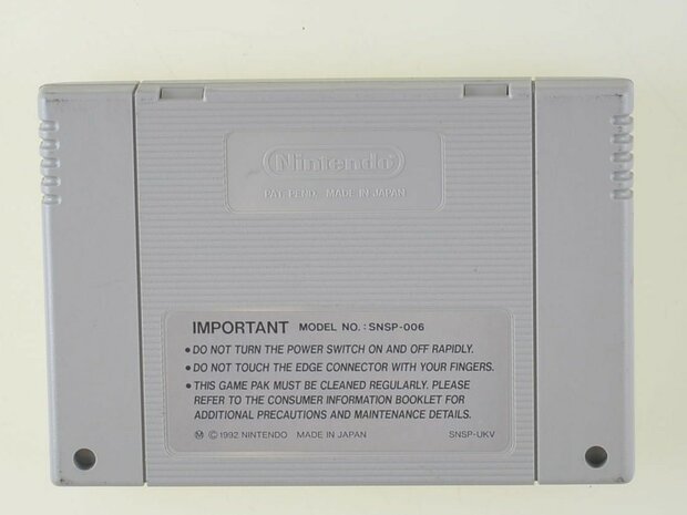 Donkey Kong Country 2