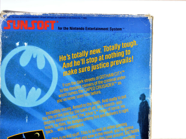 Batman: The Video Game