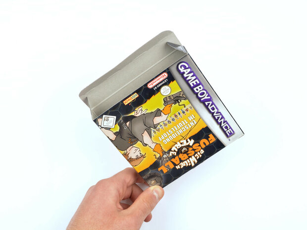 Die wilden Fussball Kerle (German)