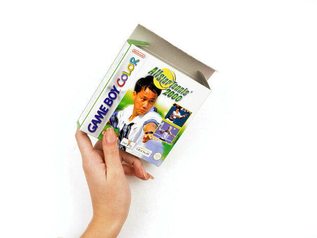 All Star Tennis 2000