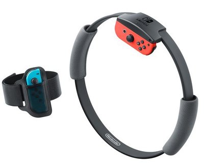 Ring Fit Adventure Ring