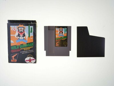 Wild Gunman